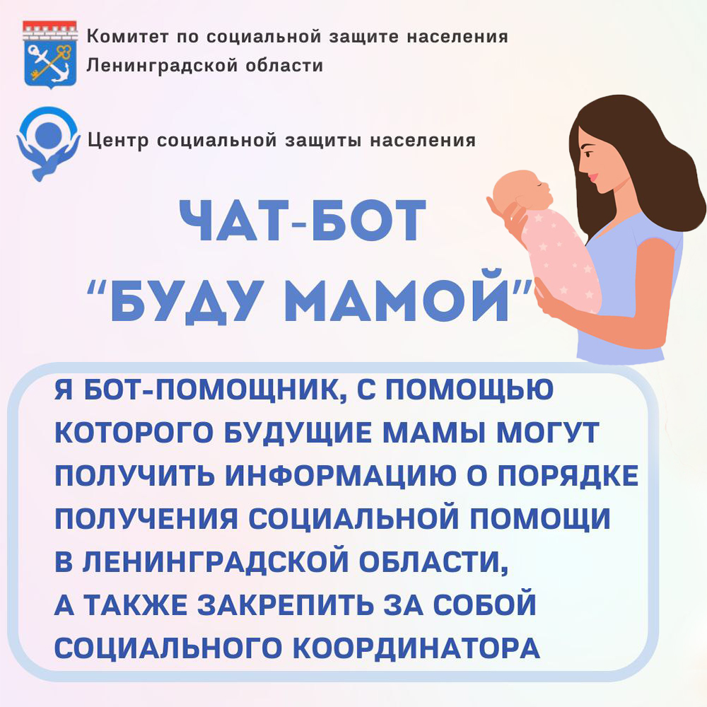 Запустить бот photo_2024-08-20_23-00-56.jpg